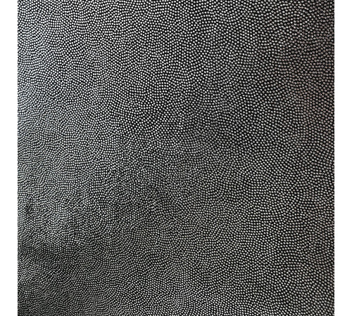 04 Сталь (серебро на черном бифлексе), голограмма эластичная, Италия